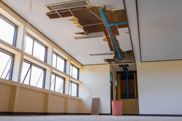 Best Water damage restoration near me  in Lansdale, PA