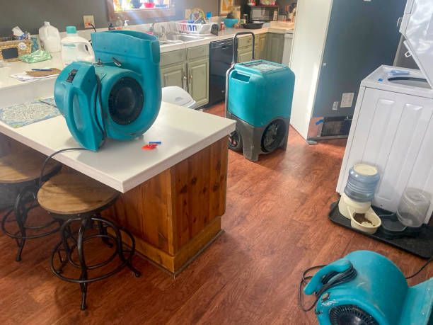 Best Water damage contractors near me  in Lansdale, PA
