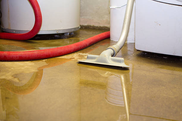 Best Water damage contractors near me  in Lansdale, PA